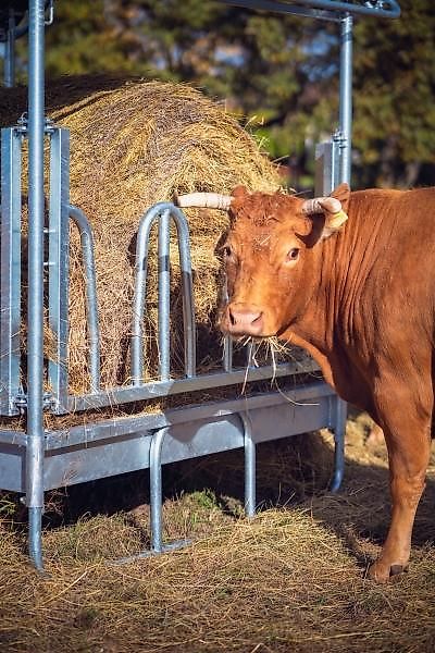 Klesberg Futterraufe für Rinder und Pferde - 8 Plätze