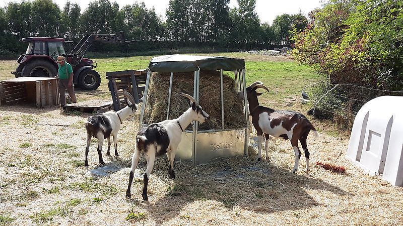 Kellfri Rundraufe Futterraufe Heuraufe mit Plane 12 Plätze