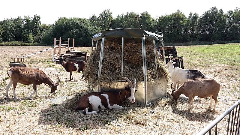 Kellfri Rundraufe Futterraufe Heuraufe mit Plane 12 Plätze